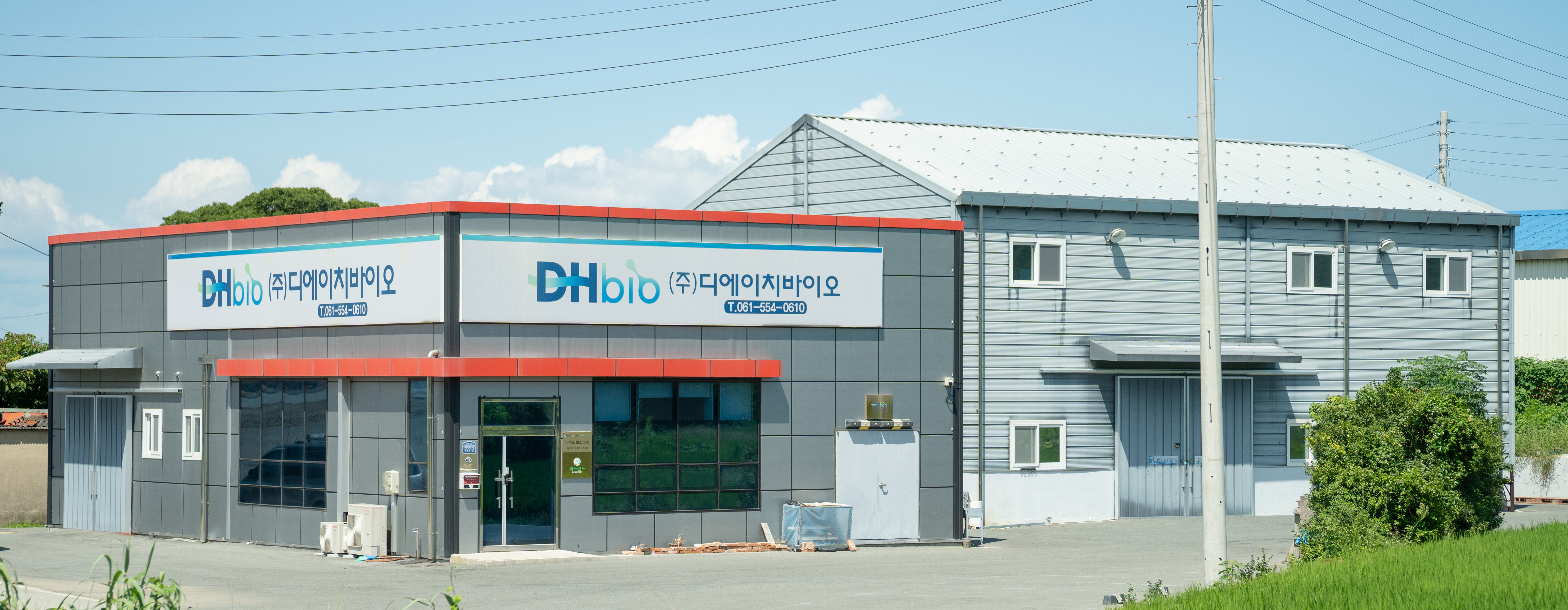 수중/해조류 참조 배경 이미지