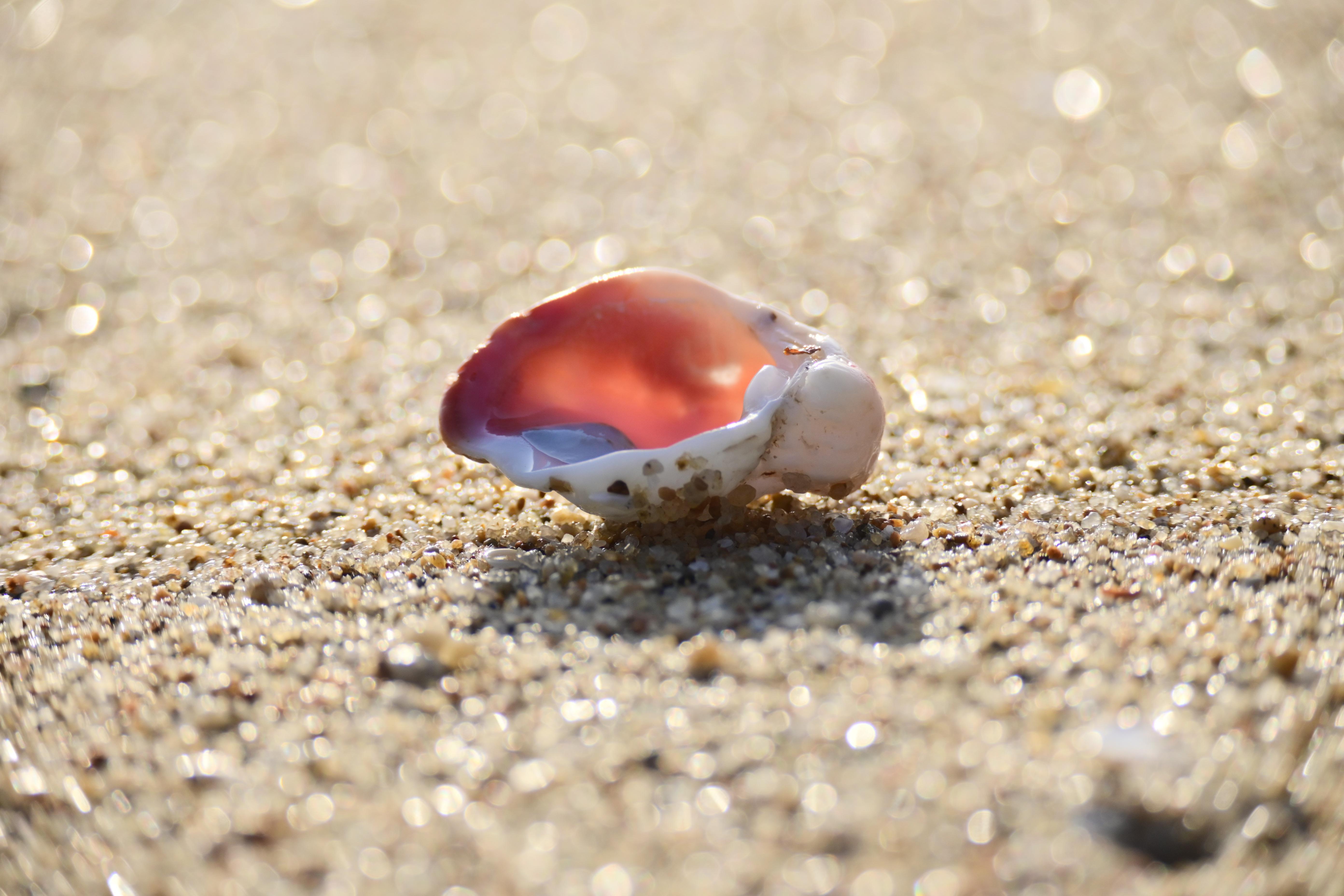 페이지 배경 이미지